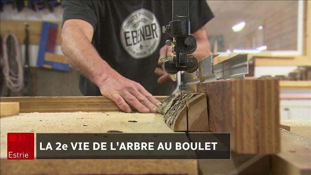 L'arbre au boulet de Québec transformé en instruments de musique en Estrie